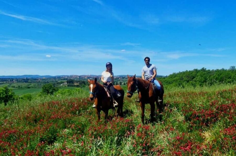 Siena: Horseback Riding Tour in the Tuscany Countryside - The Starting Point at Str. di Colle Pinzuto, 4