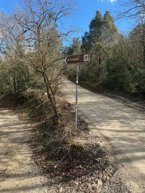 Siena: Horseback Tour on the Via Francigena - Where the ride begins: Strada del Pian del Lago in plain terms