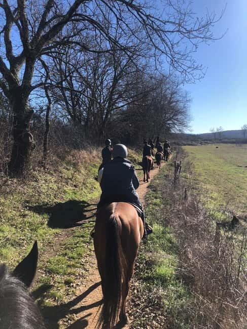 Siena: Horseback Tour on the Via Francigena - Via Francigena in motion: riding through Montagnola Senese Park