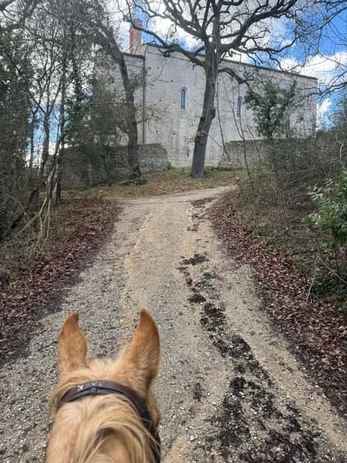 Siena: Horseback Tour on the Via Francigena - The on-site briefing: how they set you up for a smooth start