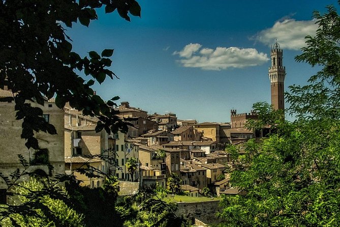 Siena Magica Private Walking Tour - Duomo di Siena (Santa Maria Assunta): when the art shows up