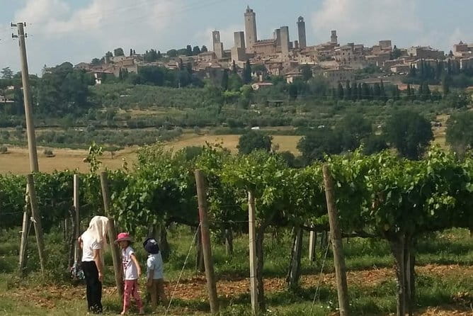 Siena Monteriggioni San Gimignano with Lunch&WineTasting Fullday from Florence - Private pacing: how customization can save your day