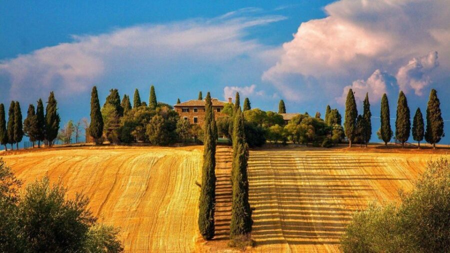 Siena: Private City Highlights Walking Tour - Fonte Gaia: The Detail Stop That Makes the City Feel Real