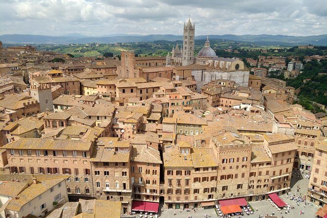 Siena private guided tour for families - Duomo di Siena: more than a big cathedral stop