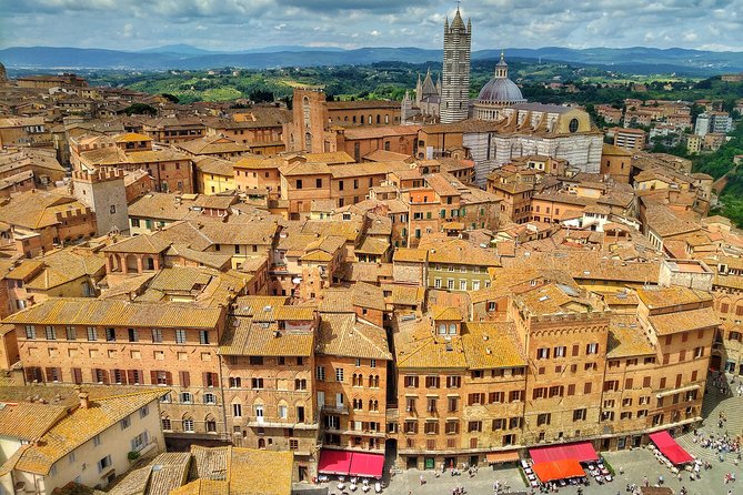 Siena Private Walking Tour - Key highlights you’ll feel on the walk
