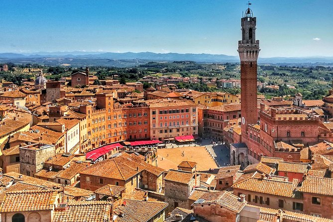 Siena Private walking tour - Piazza del Campo: the Palio square and a clean ending point
