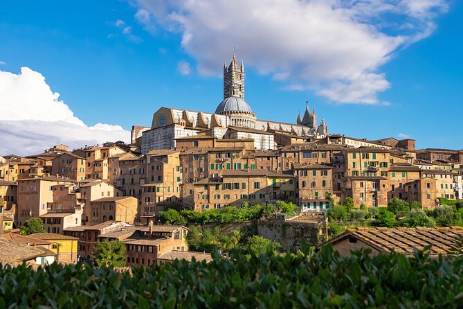 Siena Private Walking Tour with a Local - From Pier Pettinaio to a Siena plan you can use