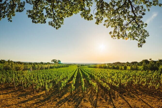 Siena & San Gimignano: Exclusive Tuscany Day Trip from Florence - Private Chauffeur Pickup in Florence: Less Hassle, More Enjoyable