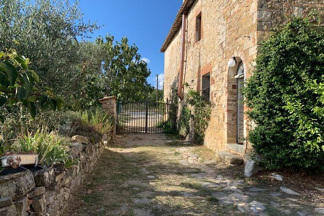 Siena: Small Group Cooking Class in Chianti Farmhouse - Who should book this class (and who should think twice)