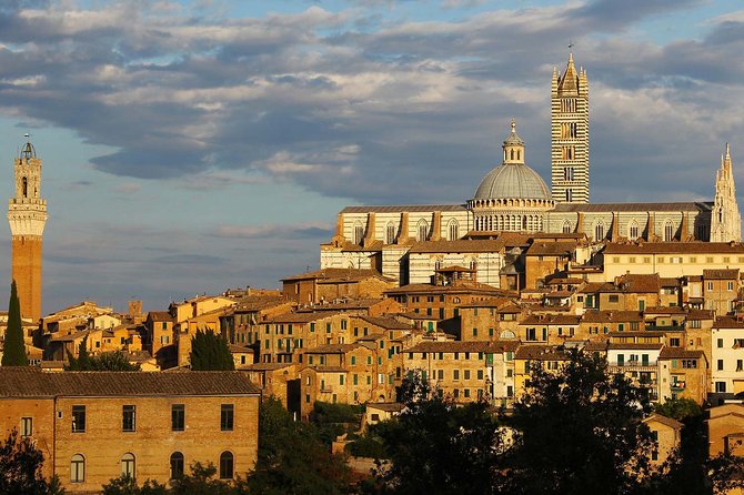 Siena Tour and exclusive window on Piazza del Campo - Why the exclusive Piazza del Campo windows are the whole point