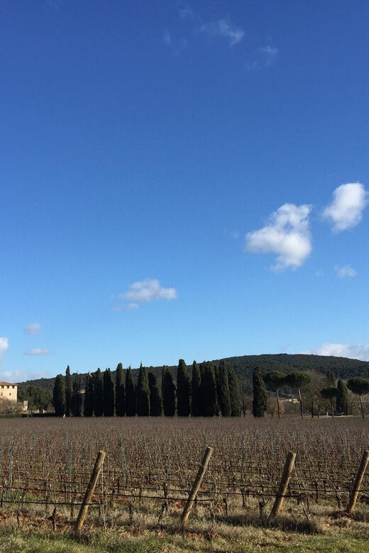Siena: Tour and Wine Tasting in a Tuscan Private Castle - Renaissance Chapel and Garden Time: What to Look For
