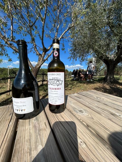 Siena: Tuk Tuk Tour with Wine Tasting - Siena by Electric Tuk-Tuk: Why This Style of Tour Feels Right