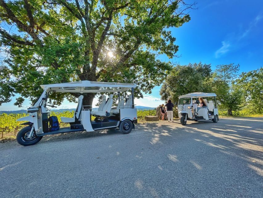 Siena: Tuk Tuk Tour with Wine Tasting - Your 3-Hour Route: San Domenico to Chianti Hills and Back