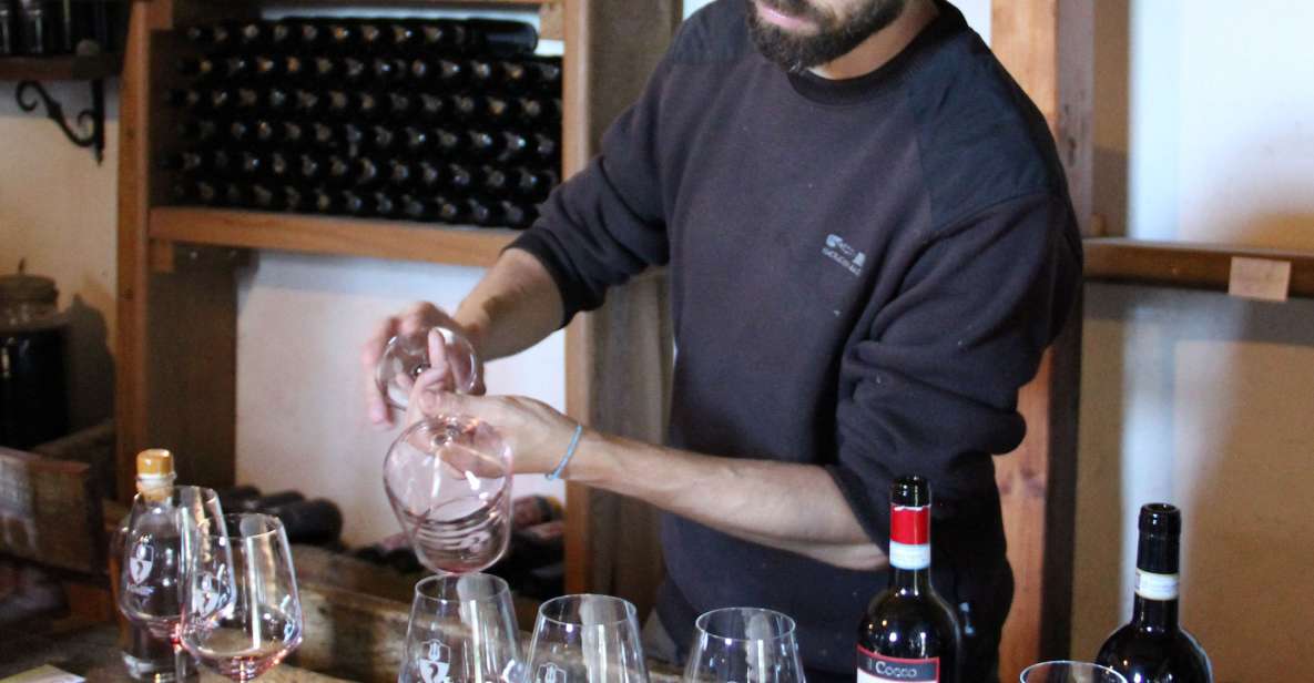 Siena: Tuscan Classics Wine Tasting Class with Aperitivo - What You Taste: 6 Tuscan Wines and How the Style Lesson Works