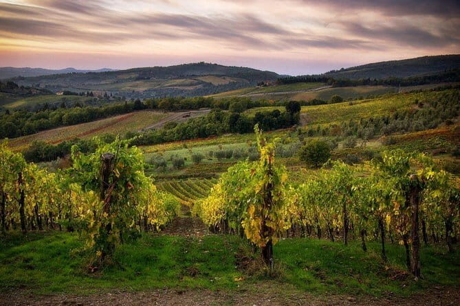 Sightseeing Tuscany by touring bike - 1 day rental - Why a one-day Tuscany bike ride from Florence is such a smart idea