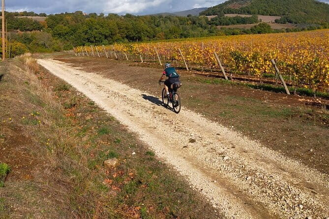 Sightseeing Tuscany by touring bike - 1 day rental - Price and value: does $53.01 make sense for a Tuscany day?
