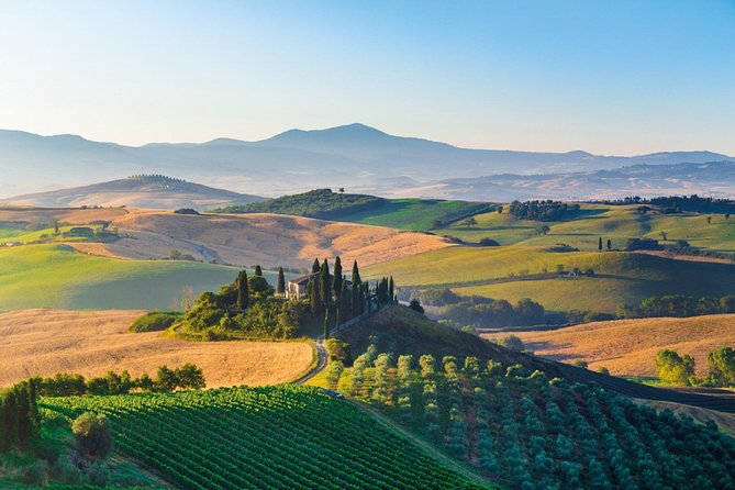 Signature Brunello di Montalcino Wine Tour from Siena - Siena to Montalcino: Why This Works as a Half-Day