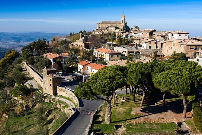 Signature Brunello di Montalcino Wine Tour from Siena - Group Size, Comfort, and Why the Van Matters