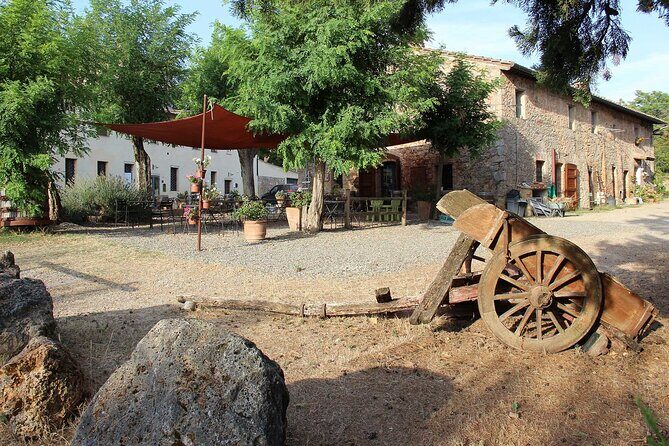Small-Group Arezzo and Cortona Day Trip from Siena - Arezzo’s Piazza Grande and art that’s more than a postcard