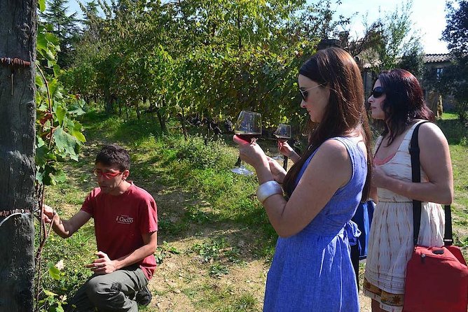 Small-Group Brunello Wine Tour of Montalcino from Florence - Florence to Montalcino: the ride that sets the mood
