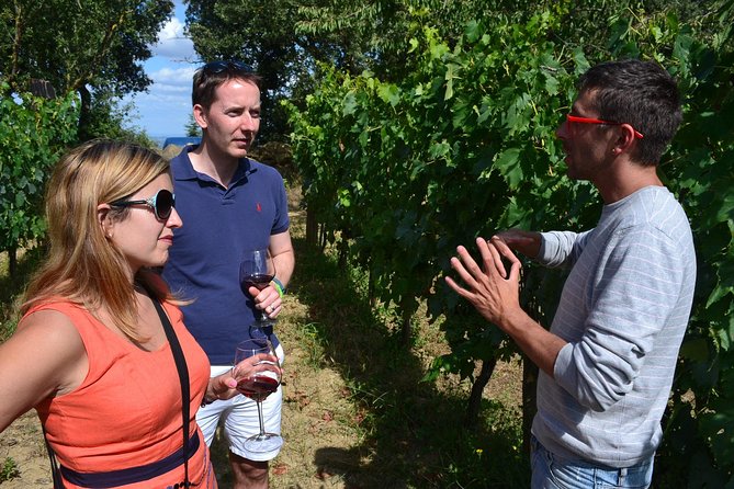 Small-Group Brunello Wine Tour of Montalcino from Florence - Winery stop two and lunch: food, pairing, and a smaller producer feel