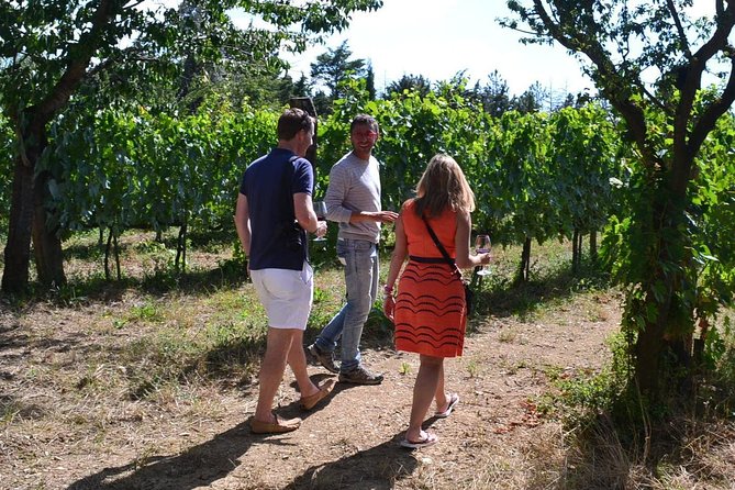 Small-Group Brunello Wine Tour of Montalcino from Florence - Price and value: what $433.48 buys you in real terms