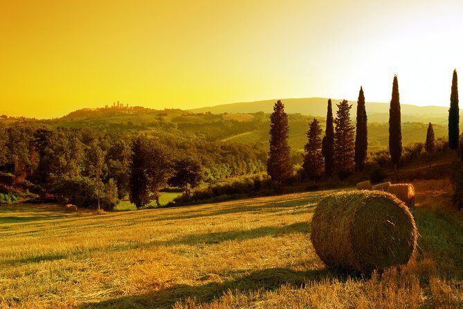 Small-Group Chianti and San Gimignano Sunset Trip from Siena - Winery time in the Chianti hills: tour, cellar stories, and Black Rooster Chianti Classico