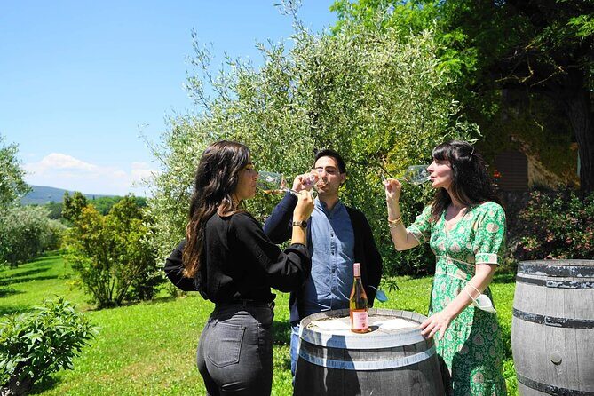 Small group Chianti Classico & Brunello wine region from Siena - Key Highlights at a Glance