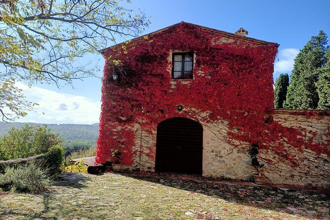 Small group Chianti Classico & Brunello wine region from Siena - What the Wine Tasting Style Teaches You (Without Overdoing It)