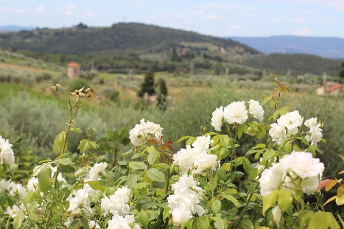 SMALL GROUP Chianti Tradition wine tour (max 8 pp) - Key Things to Know Before You Go