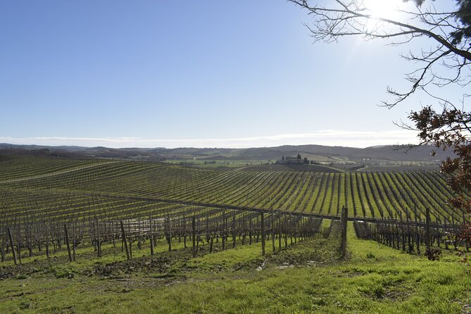 Small Group E-Bike Chianti Tour with farm lunch from Siena - Key highlights you’ll feel on this tour