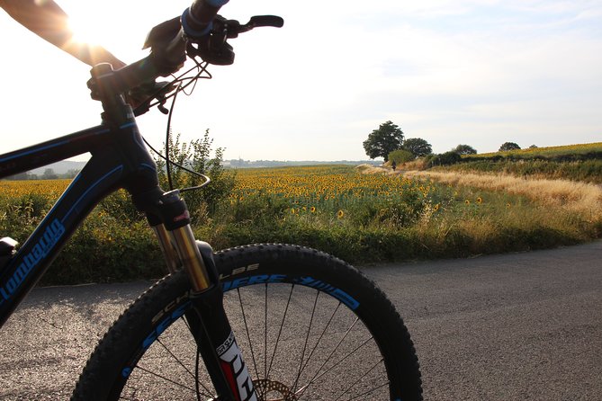 Small Group E-Bike Chianti Tour with farm lunch from Siena - Meet-up in Siena: finding the group without fuss