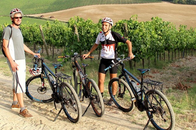 Small Group E-Bike Chianti Tour with farm lunch from Siena - Farm lunch plus olive oil tasting: where the day turns delicious