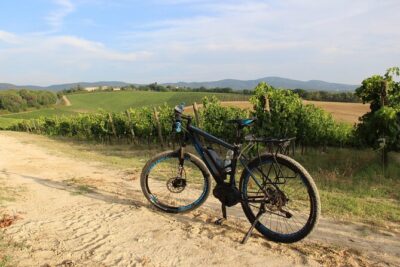Small Group E-Bike Chianti Tour with farm lunch from Siena - Chianti on wheels: vineyards, olive groves, and village passes