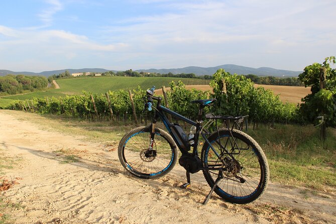 Small Group E-Bike Chianti Tour with farm lunch from Siena - Chianti on wheels: vineyards, olive groves, and village passes