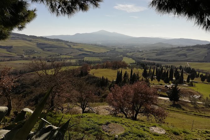 Small-Group Montepulciano and Pienza Day Trip from Siena - Booking the Montepulciano and Pienza day trip: should you do it?