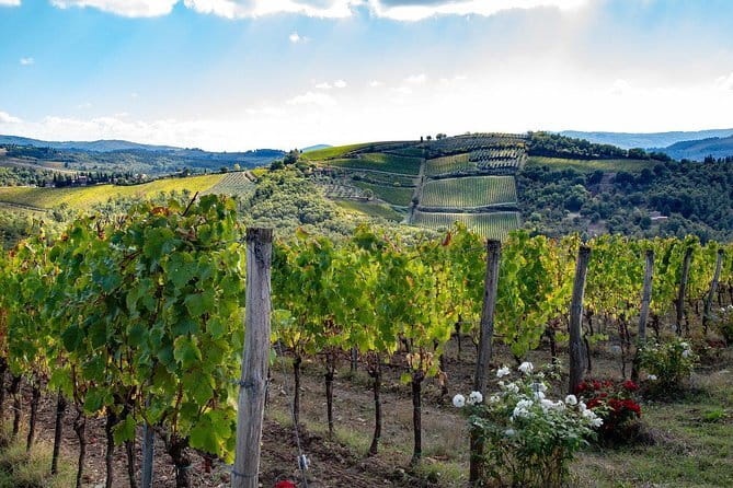 SMALL-GROUP Wine Safaris: Tuscan Wine Tasting Tours from Florence - Key highlights to know before you go