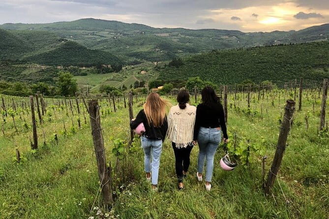Small Group Wine Tasting in Tuscany with Vineyard Visit - Getting to the vineyards: transport and timing that actually works