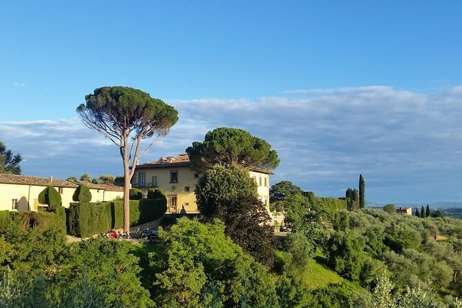 Small Group Wine Tasting in Tuscany with Vineyard Visit - Tuscan lunch with the cellar tour: the best part of slowing down