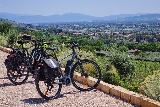 Spello E-Bike & Wine Tour with Scenic Winery Lunch - The Olive Path Trail: where the views earn the work