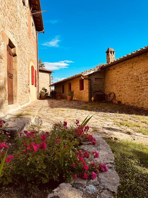 Spend a day in a resort in the Tuscan countryside - Comfort, pacing, and why the small group matters