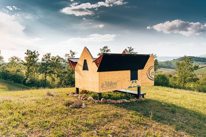 Stellar PicNic: Delight at sunset in the Tuscan countryside - Stellar PicNic Essentials: What Makes It Work