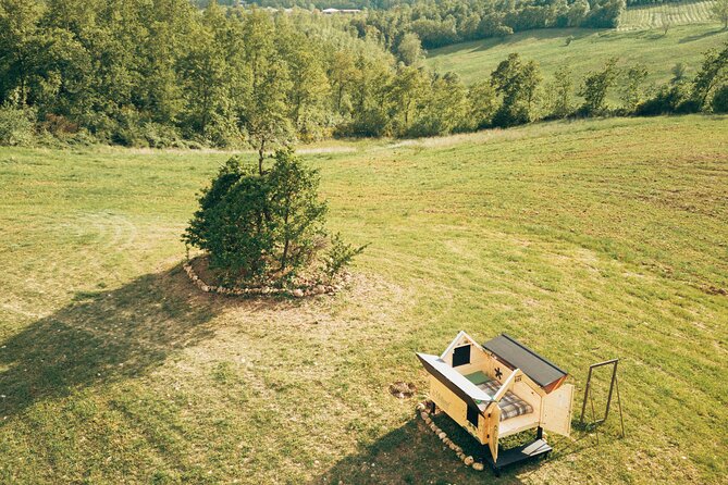 Stellar PicNic: Delight at sunset in the Tuscan countryside - Value at $104: What You’re Actually Paying For