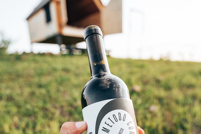 Stellar PicNic: Delight at sunset in the Tuscan countryside - Who This Fits Best (And Who Might Skip It)
