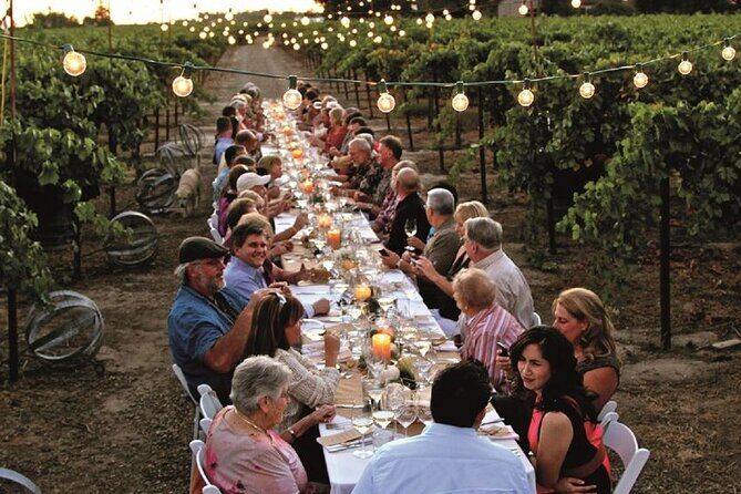 Sunset Summer Dinner Among the Vines – Small Group from Siena - Key Points Before You Go