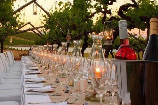 Sunset Summer Dinner Among the Vines – Small Group from Siena - The Estate Wine Route: What the Tasting Actually Means