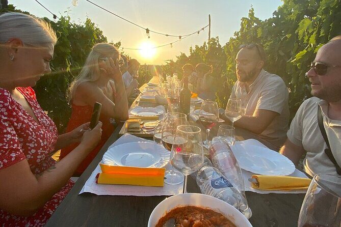 Sunset Summer Dinner Among the Vines – Small Group from Siena - Your Group Size and Your Evening Pace