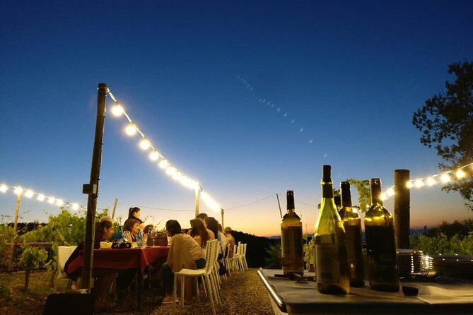 Sunset Summer Dinner Among the Vines – Small Group from Siena - Price and Logistics: Is $130.97 Good Value?