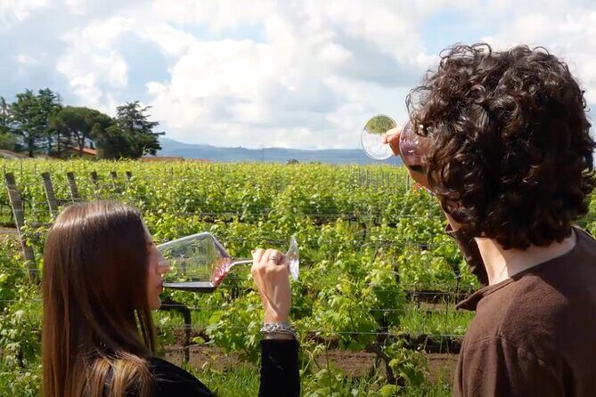 Sunset Summer Dinner Among the Vines – Small Group from Siena - Communication Check: How to Avoid the Common Headaches
