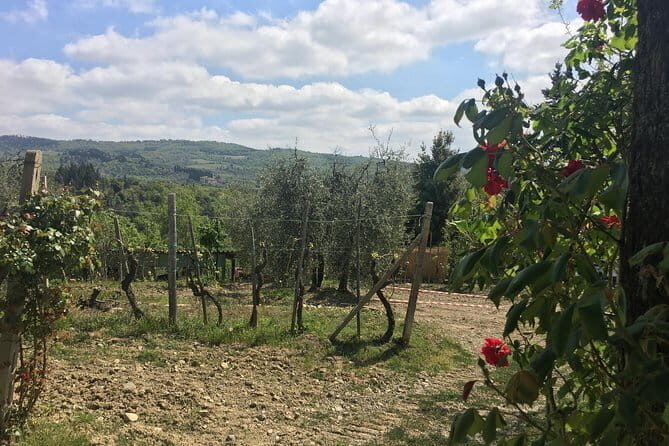 Sunset VIP Chianti wine tour - Stop 1: La Castellina and the Squarcialupi + Ricudda story